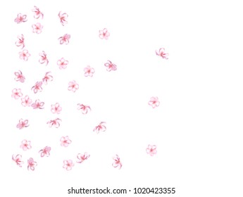 Falling Spring Cherry Blossom, Realistic Vector Confetti. Japanese Sakura Modern Romantic Illustration. Wedding Decoration, Falling Spring Cherry Blossom, Love Magic Design. Showering Isolated Flowers