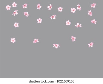 Falling Spring Cherry Blossom, Realistic Vector Confetti. Japanese Sakura Modern Romantic Illustration. Wedding Decoration, Flying Pink Cherry Blossom, Love Magic Design. Showering Isolated Flowers