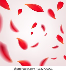 Falling swirl of red rose petals isolated on white background. Vector illustration with beauty roses petals frame, applicable for design of greeting cards on March 8 and St. Valentine s Day