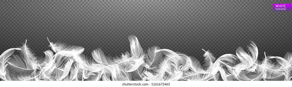 Falling twirled realistic feathers isolated on a transparent background. Easy style, can be used in flyers, banners, web. Light cute feathers design. Elements for design. Vector illustration.