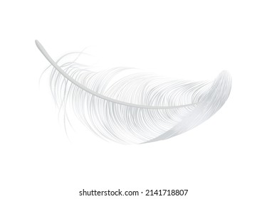 Caída de la pluma de pájaro blanco en un estilo realista en ilustración vectorial de fondo en blanco