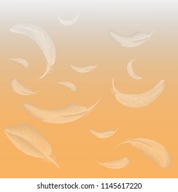 Falling white fluffy feathers on orange background, vector illustration