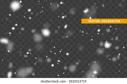 Falling white glare of snow isolated on transparent background. Texture winter snowflakes. Light effect white. vector illustration