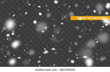 Falling white glare of snow isolated on transparent background. Texture winter snowflakes. Light effect white. vector illustration