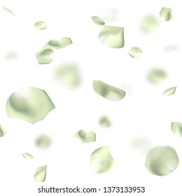 Falling white rose flower petals on white background. Seamless pattern. Vector illustration.