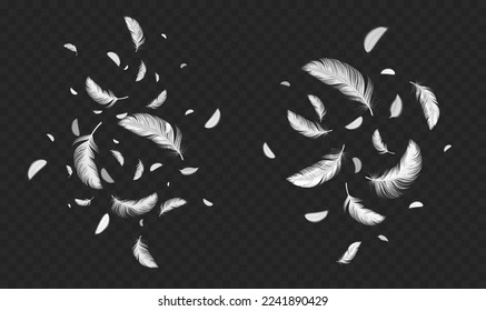 Isolated feather silhouettes. Flat black feathers, vintage bird plumage  elements. Smooth graphic shapes, flying decorative elements tidy vector  collection Stock Vector