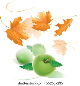 Falling yellow autumn maple leaves fly in the wind and three realistic apples with green leaves isolated on white background.