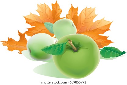 Falling yellow autumn maple leaves fly in the wind and three realistic apples with green leaves isolated on white background.
