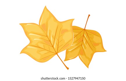 Falling yellow leaves of tulip tree. Hello autumn, bye summer. Completion, finishing of vacation, sunny, warm days, good weather concept. Cartoon vector illustration isolated on white background.