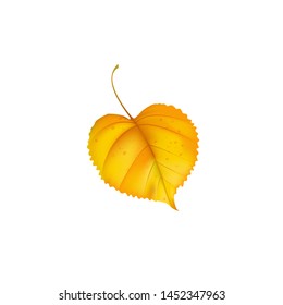 Falling yellow linden leaf realistic vector style.Autumn leaves on white background for your design. Isolated objects