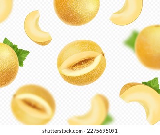 Falling yellow melons fruits. Blurred melon slices. Vector Realistic. Transparent background