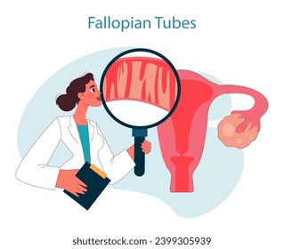 Fallopian tubes. Doctor examining fallopian tubes using magnifying glass. Female anatomy and reproductive health. Gynecological check-up and diagnosis. Flat vector illustration