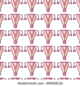 fallopian tubes and uterus women organs background
