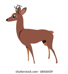 Fallow deer or buck - Woodland animal cartoon isolated on white background color vector illustration