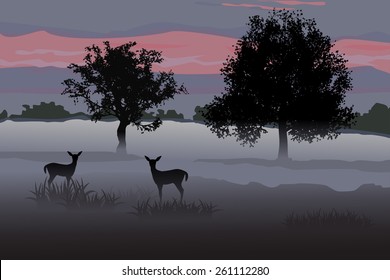 Fallow deer hind in the mist