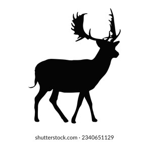 Fallow deer silhouette isolated on white vector.