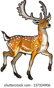 fallow deer vector side view illustration isolated on white background