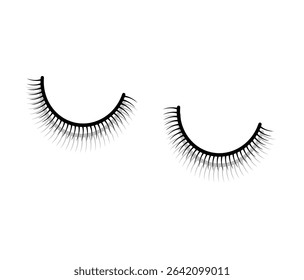False Eyelashes icon Vector Illustration