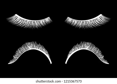 False eyelashes. Mascara decorative element vector illustration