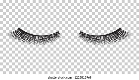 False eyelashes. Mascara decorative element vector illustration
