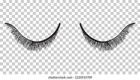 False eyelashes. Mascara decorative element vector illustration