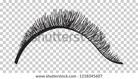 False eyelashes. Mascara decorative element vector illustration
