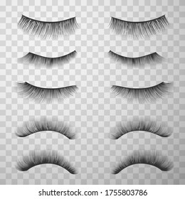 False eyelashes set, make-up fashion and glamour. Attractive, charming professional eye look collection. Vector realistic false eyelashes illustration