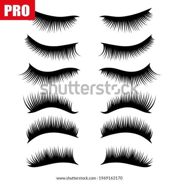 False Eyelashes Styles Clipart Eps 10 Stock Vector Royalty Free 1969163170 Shutterstock 