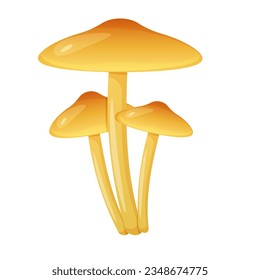 False honey mushroom isolated on white background. Wilde poisonous fungus.