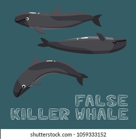 False Killer Whale Cartoon Vector Illustration