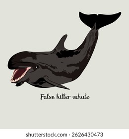 Coleção de ilustrações de mamíferos marinhos (ilustração vetorial)