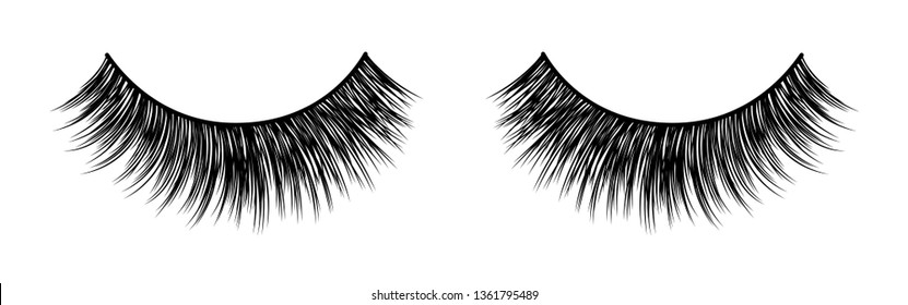 False lashes vector illustration set. Female eyelashes collection. Woman beauty product. Trendy fashion illustration for mascara pack or beauty products design.