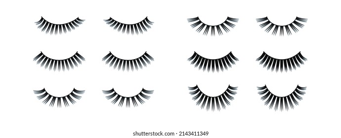 False lashes vector set. different length, volume and shape eylashes collection Illustration. makeup items for lashmaking cards, training posters, beauty salon backgrounds and wallpapers