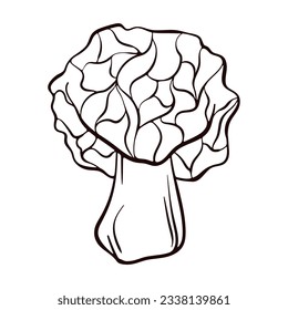 Falschmorel-Skizze, die nicht verdaulich ist. Line Art tödlich giftige Fungus Illustration. Vektorgrafik einzeln auf weißem Hintergrund. Morchella Gyromitra esculenta.