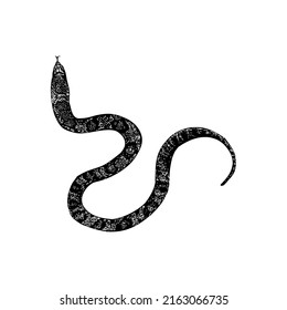 False Water Cobra Hand Drawing Vector Illustration Isolated On White Background