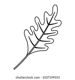 falt line uncolored leaf over  white background vector illustration 