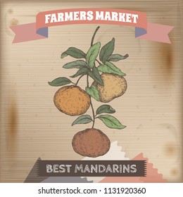 Famer market label with mandarin branch color sketch on wooden background. Great for markets, grocery stores, organic shops, food label design.