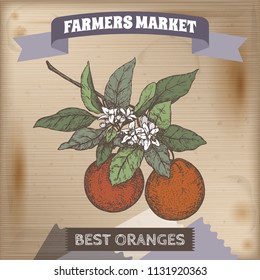Famer market label with orange branch color sketch on wooden background. Great for markets, grocery stores, organic shops, food label design.
