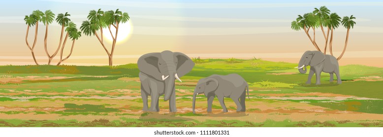 Family of African elephants in the savannah. Doum palm on the horizon. Realistic vector landscape. Nature and animals of Africa. Reserves and national parks.