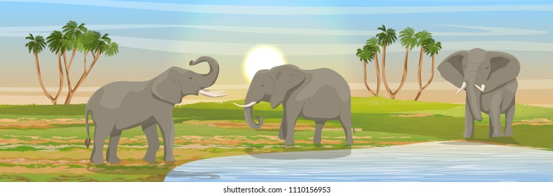 Family of African elephants at the watering hole. Grass, a small lake, the Doum palm on the horizon. Realistic vector landscape. Nature and animals of Africa. Reserves and national parks.