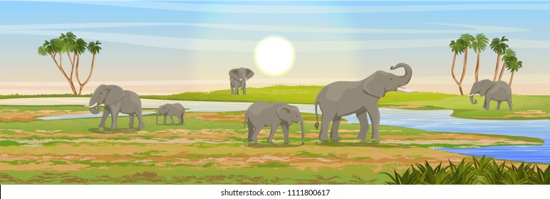 Family Of African Elephants At The Watering Hole. Grass, A River, The Doum Palm On The Horizon. Realistic Vector Landscape. Nature And Animals Of Africa. Reserves And National Parks.