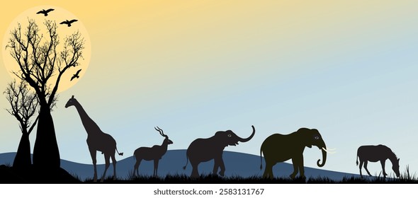 Family of African elephants, zebra and giraffe strolls at sunset sunrise.