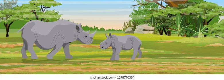 Family of African rhinos. Mother and her cub.Wild animals of Africa. African savannah. Bush. Jungle. Realistic vector landscape.