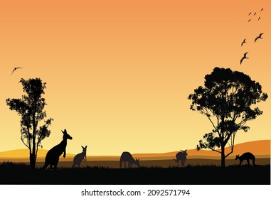 Familia de los Kangaroos Australianos en el fondo de la noche alimentando a los naranjas