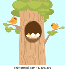 Family birds on a tree, the hollow of the nest and chick, eggs