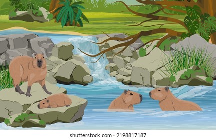 Una familia de capibaras con un reposo de cachorros cerca de una pequeña cascada con un lago en la jungla de Sudamérica. Roedores de Sudamérica. Paisaje vectorial realista