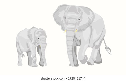 family of cartoon mammals elephants isolated on white. African elephant or tropical elephant and Asian elephant. Has large ears, a concave back, wrinkled skin. Sticker for children. Vector