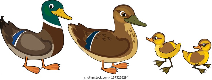 5,343 Duck family cartoon Images, Stock Photos & Vectors | Shutterstock