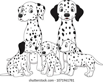 Family of Dalmatian dogs