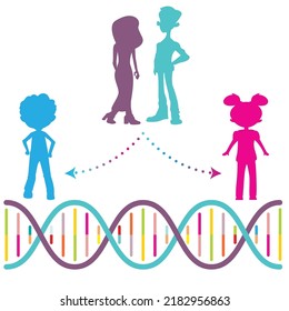 Family Dna Vector Illustration Background Stock Vector (Royalty Free ...